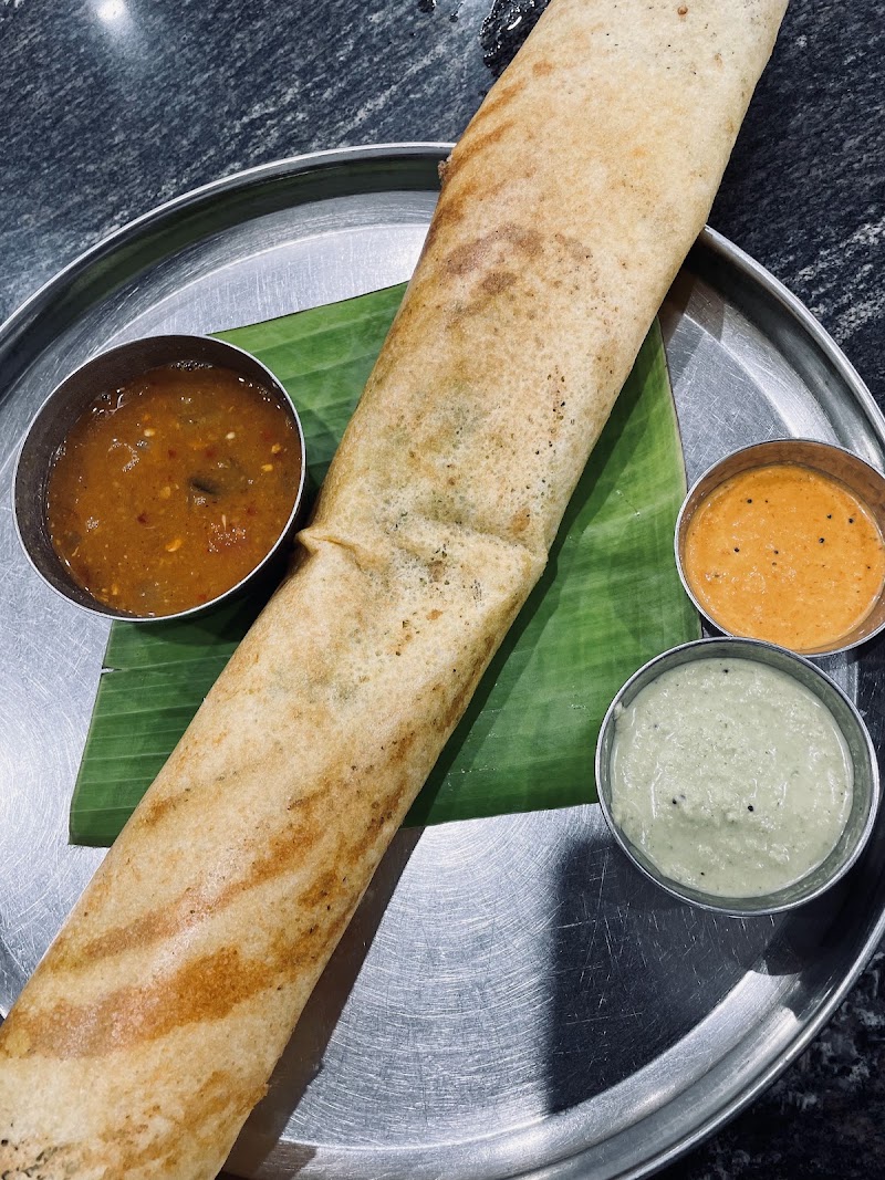 𝑷𝒖𝒓𝒐𝒉𝒊𝒕 𝑪𝒂𝒇𝒆 - Best South Indian Restaurant in Udaipur Since 1987 - 𝑷𝒖𝒓𝒐𝒉𝒊𝒕 𝑪𝒂𝒇𝒆 - Best South Indian Restaurant in Udaipur Since 1987 Anand Plaza, University Rd, Shabri Colony, Ayad, Kharakua, Udaipur, Rajasthan 313001, India