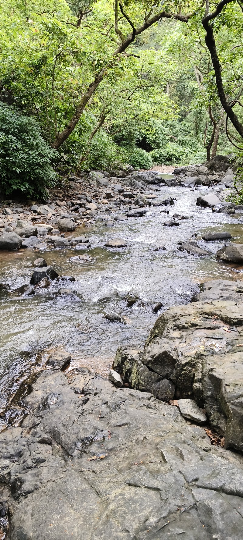 Tungareshwar Wildlife Sanctuary - Tungareshwar Wildlife Sanctuary CWG7+V32, Chinchoti, Vasai-Virar, Maharashtra 401303, India