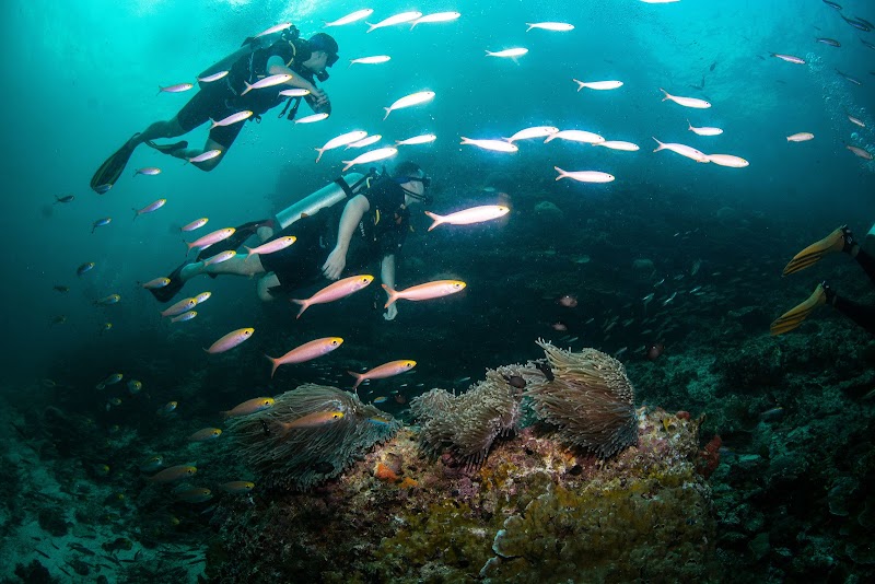 Lanta Diver – Koh Lanta Diving and Snorkeling - Lanta Diver – Koh Lanta Diving and Snorkeling 259, 2, Tambon Sala Dan, Amphoe Ko Lanta, Chang Wat Krabi 81150, Thailand