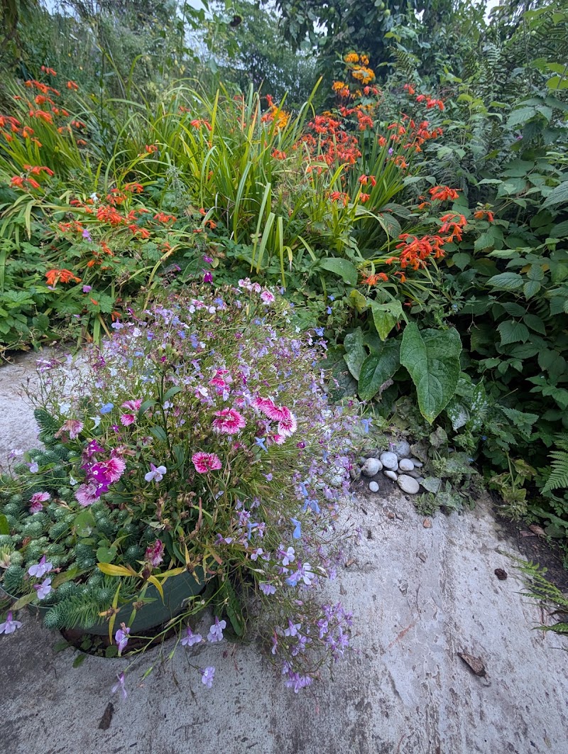 Sunflower Bed & Breakfast - Sunflower Bed & Breakfast, 404, Field of Dreams, The Park, Findhorn, Forres IV36 3TA, UK