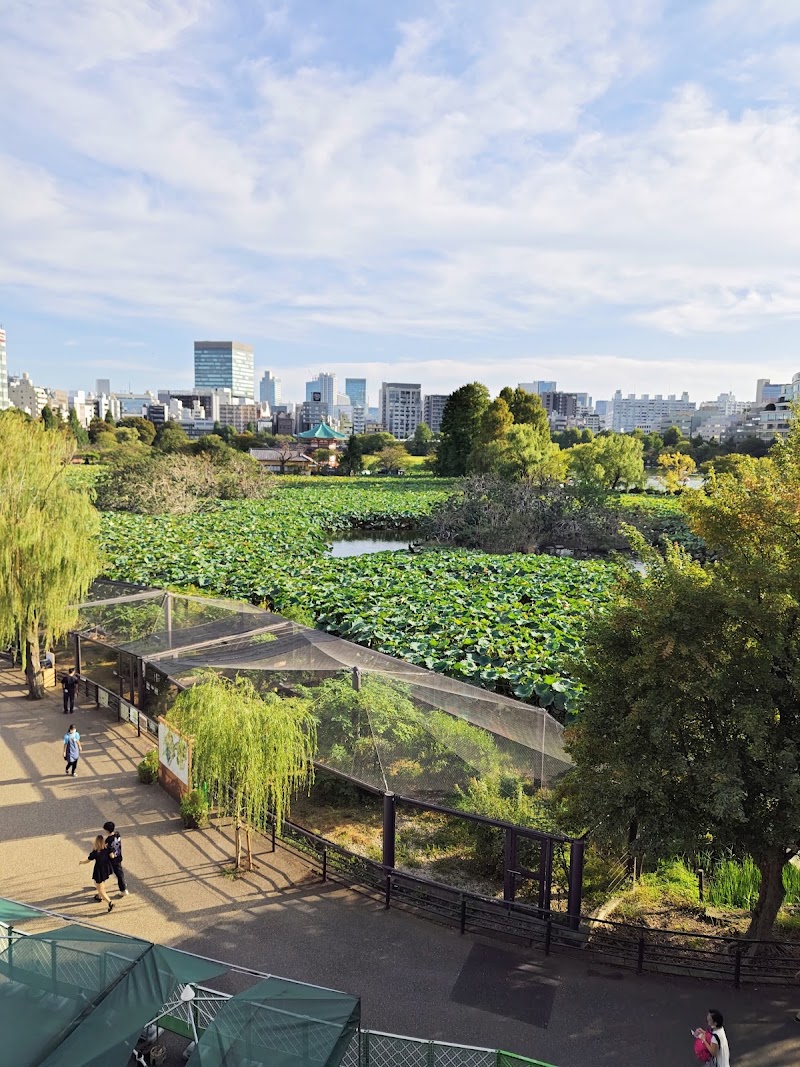 Shinobazuno Pond - Shinobazuno Pond Shinobazuno Pond, 3 Uenokoen, Taito City, Tokyo 110-0007, Japan