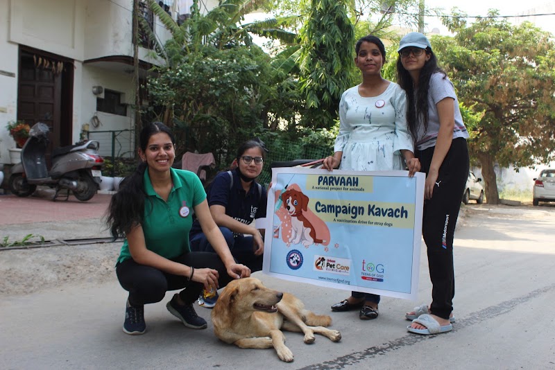 Teens of God (Regd. NGO) - Teens of God (Regd. NGO) F23P+GHQ, Hno. 407, near Radha Krishna Mandir, Kirti Nagar, Sector 15 Part 1, Sector 15, Gurugram, Haryana 122001, India