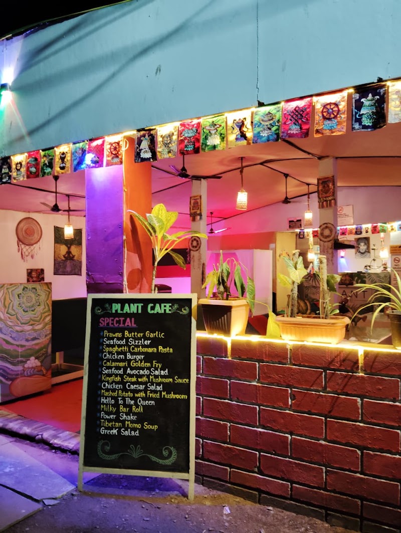 Plant Cafe - Plant Cafe Morjim Beach Road, Morjim, Goa 403512, India