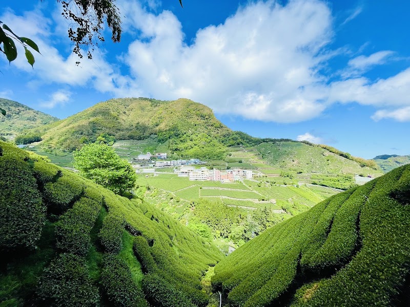 Longzaiwei Trail - Longzaiwei Trail 603, Taiwan, Chiayi County, Meishan Township, 太和巃仔尾步道