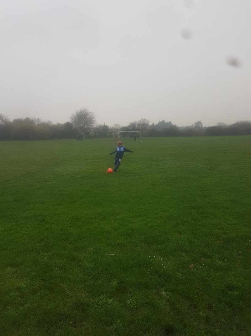 Newton Playing Fields
