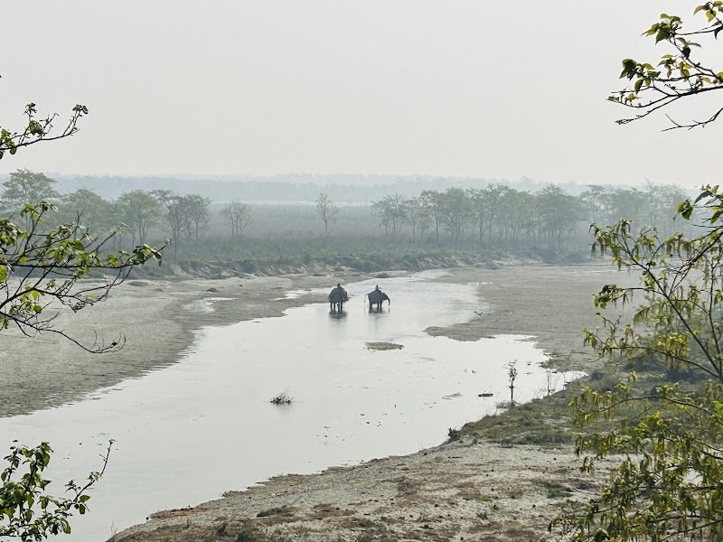 Gorumara National Park - Gorumara National Park, Jalpaiguri, West Bengal 735101, India
