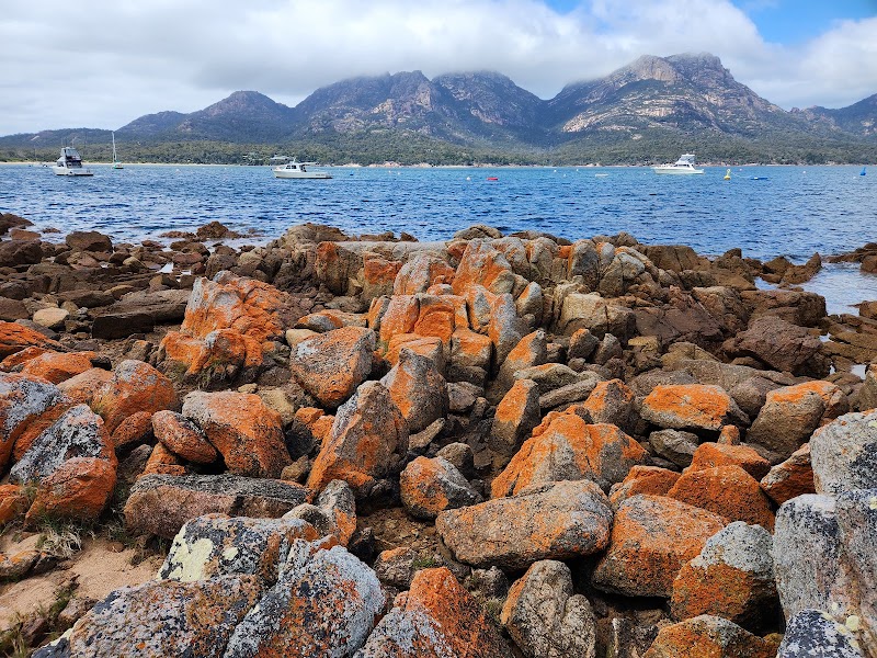 Coles Bay Road - Coles Bay Road, Coles Bay Rd, Coles Bay TAS 7215, Australia