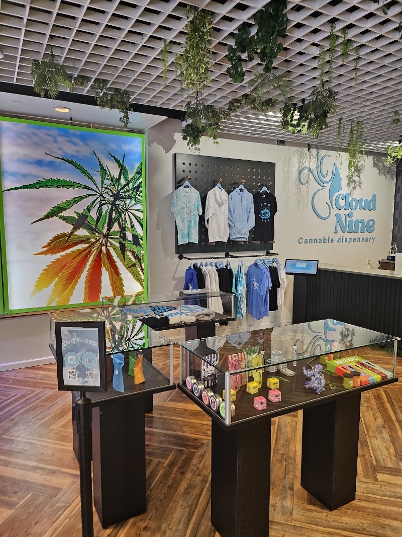 Cloud Nine Dispensary - Cloud Nine Dispensary 513 US-22, North Plainfield, NJ 07060, USA