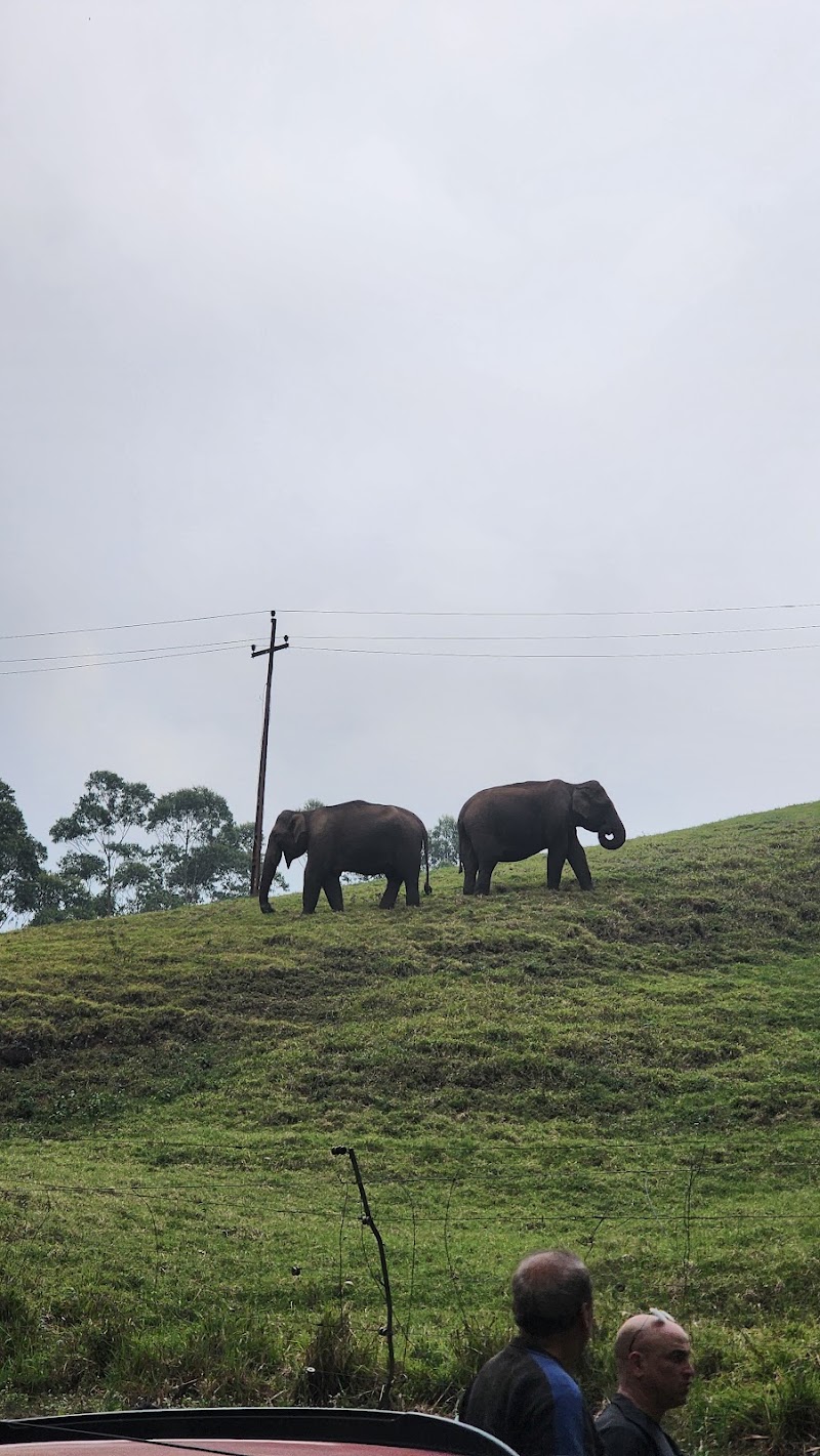Travella Munnar