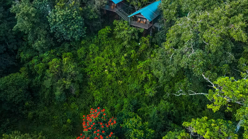 WAYANAD WILDLIFE RESORT - WAYANAD WILDLIFE RESORT Sathramkunnu road. 350 mtrs from Daymart, M785+QFF, Sathram Kunnu Rd, near Ankanvadi, Sathramkunnu, Sultan Bathery, Kerala 673592, India