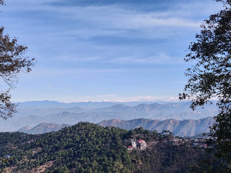 Kashi Villa, Kasauli - Kashi Villa, Kasauli, Parwanoo Kasauli Rd, Kasauli, Himachal Pradesh 173201, India