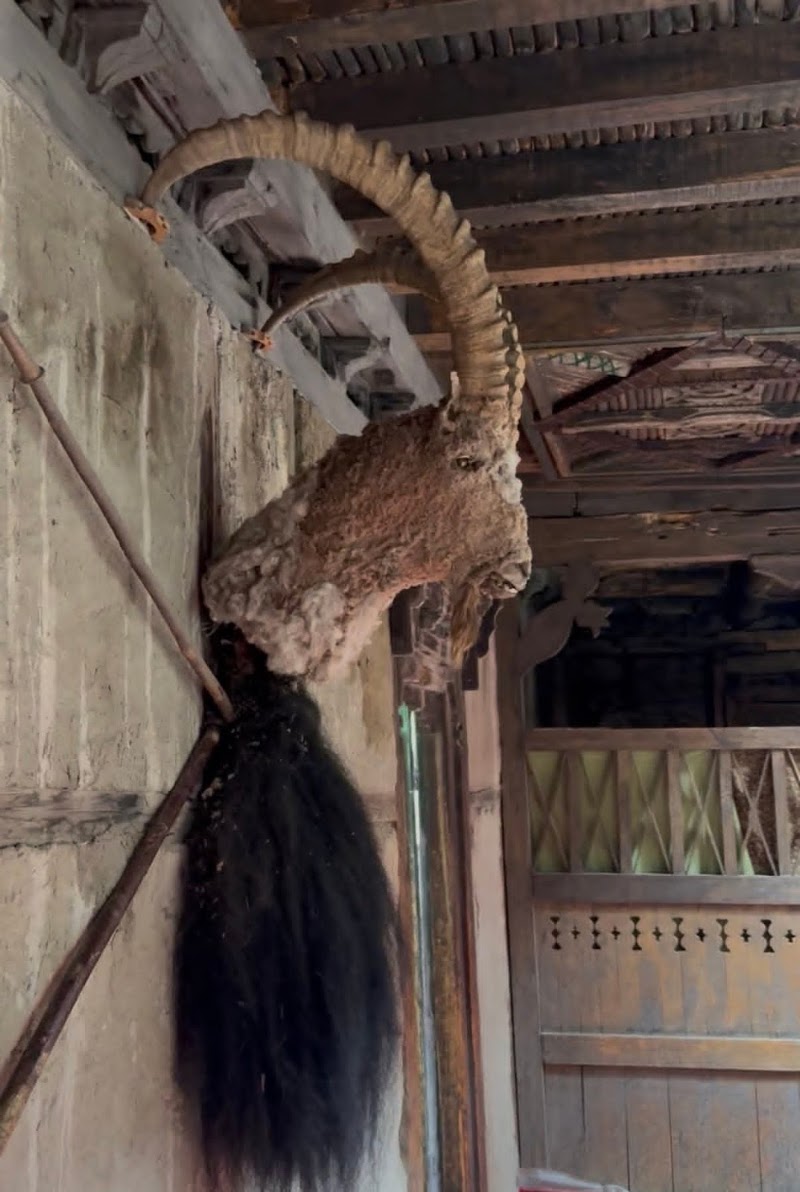 Yabgo palace and museum - Yabgo palace and museum, Turtuk youl, Turtuk, 194401