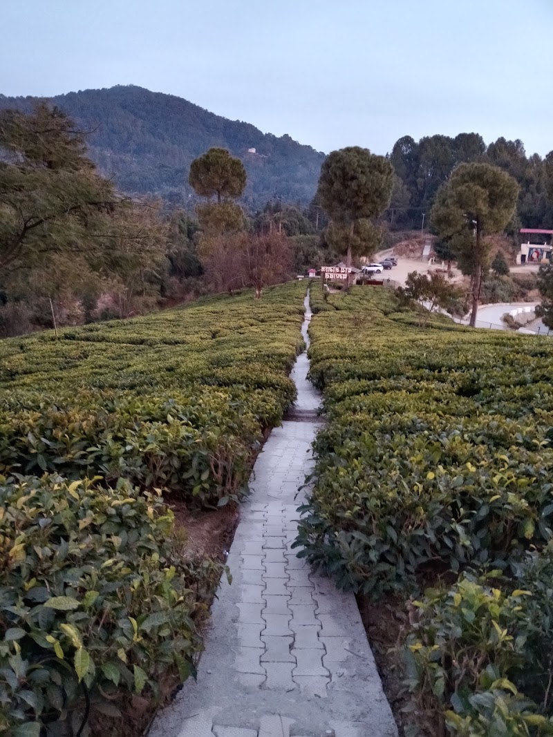 KMVN Tourist Rest House - KMVN Tourist Rest House Tanakpur Road NH 125, 83MQ+CCR, Gyalisaran Road, Champawat, Uttarakhand 262523, India