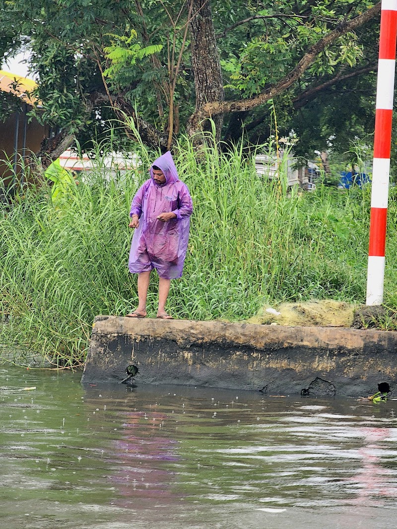 Ponjikkara Jetty - Ponjikkara Jetty, Ponjikkara, F9X2+RJX, Thirumala ward, Punnamada, Thirumala, Alappuzha, Kerala 688011, India