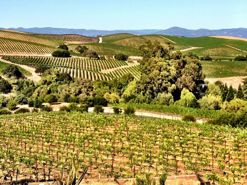 Napa Valley - Napa Valley Napa Valley, CA, USA