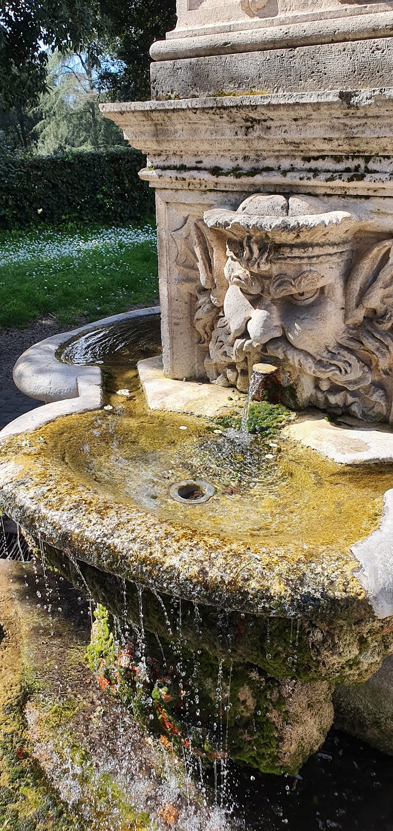 Fountain of the Seahorses - Fountain of the Seahorses, Viale dei Cavalli Marini, 00197 Roma RM, Italy