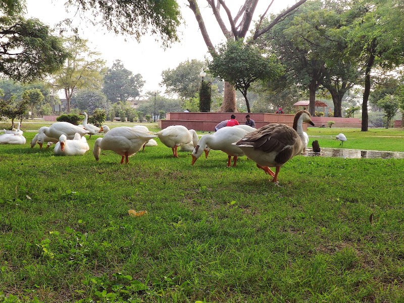 Chatra Vilas Garden (c.v. garden) - Chatra Vilas Garden (c.v. garden) 5VR3+436, Sarovar Rd, Chatra Vilas Garden, Nayapura, Kota, Rajasthan 324001, India