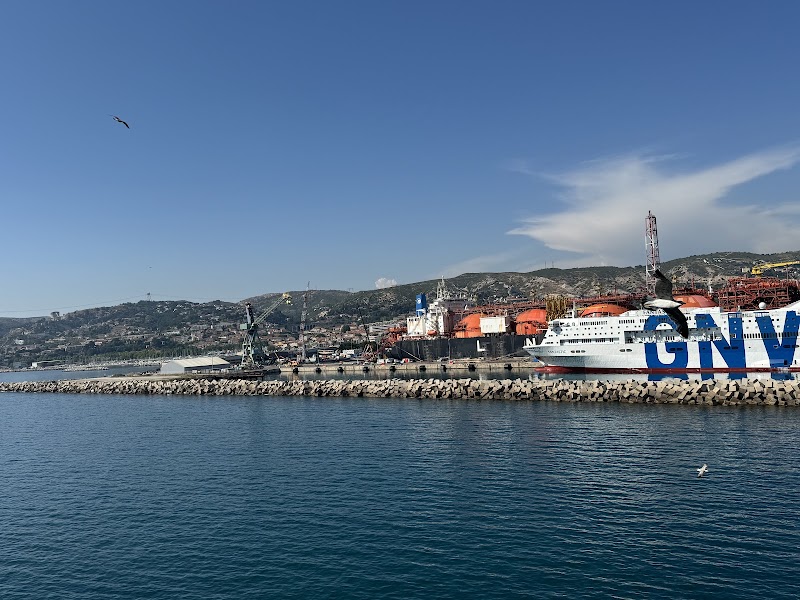 Terminal de cruceros - Terminal de cruceros, 13002 Marseille, France