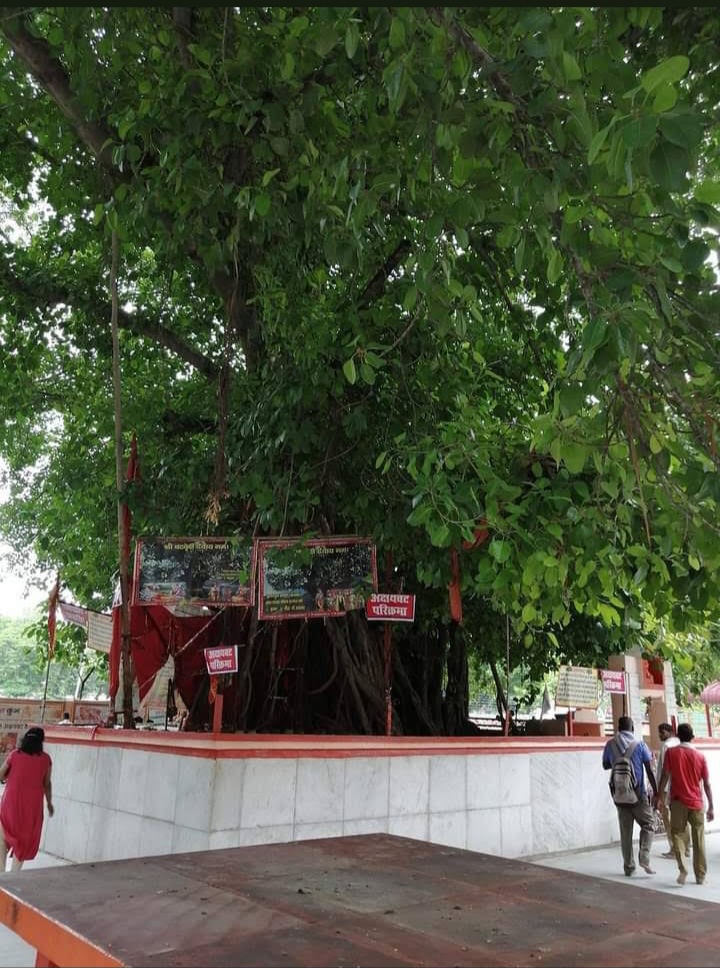 Sri Akshayavat Temple Patalpuri - Sri Akshayavat Temple Patalpuri Akbar Fort, fort, Prayagraj, Uttar Pradesh 211006, India