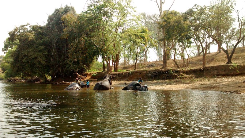 Cauvery Wildlife Sanctuary - Cauvery Wildlife Sanctuary, XMH3+J93, Chamarajanagar, Karnataka 571490, India
