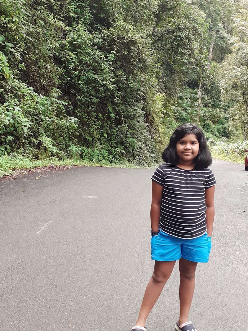 Bison Valley Waterfalls - Bison Valley Waterfalls 333F+3Q8, Bison Vly Rd, Pallivasal, Keralam 685612, India