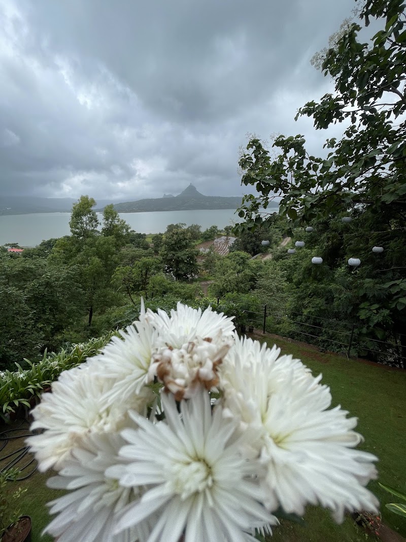 Ethereal Dune Boutique Hotel - Ethereal Dune Boutique Hotel Kadak Post, Pavananagar-Kamshet RD, Thakursai, Gevhande Khadak, Maharashtra 410406, India