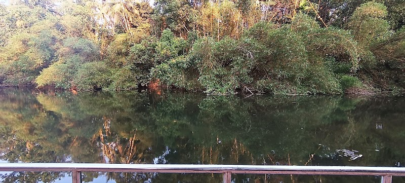 Karamana river view point - Karamana river view point FXHM+48V, Shastri Nagar, Poojapura, Thiruvananthapuram, Kerala 695012, India