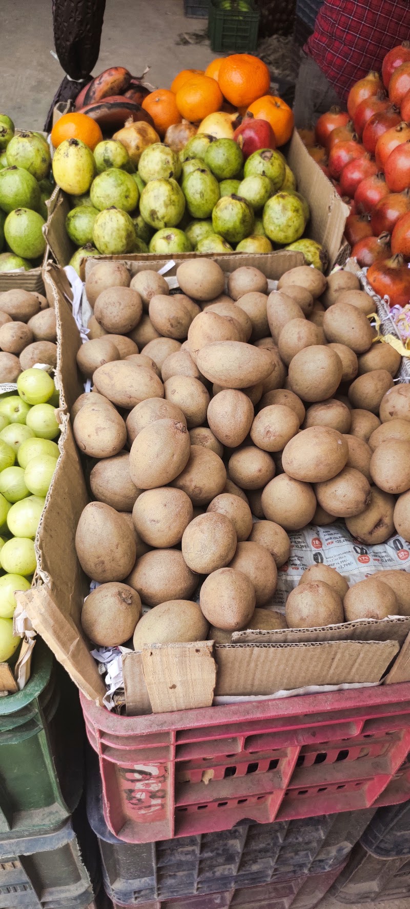 Kashmir Fruit Traders - Kashmir Fruit Traders Q46Q+W2P, Philomina Nagar, Thanjavur, Tamil Nadu 613006, India