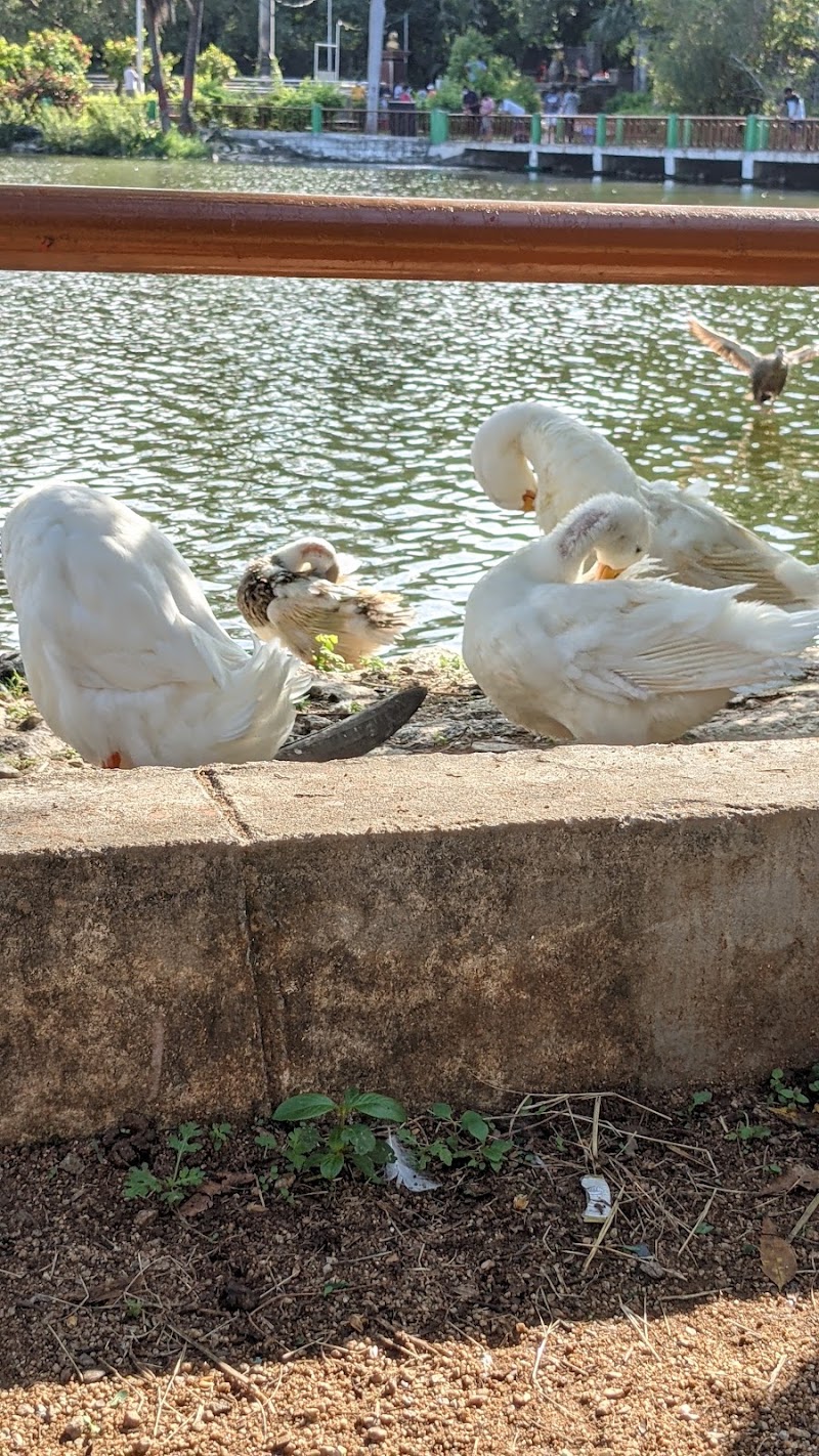 Indira Park - Indira Park, Lower Tank Bund Rd, Domalguda, Kavadiguda, Hyderabad, Telangana 500080, India