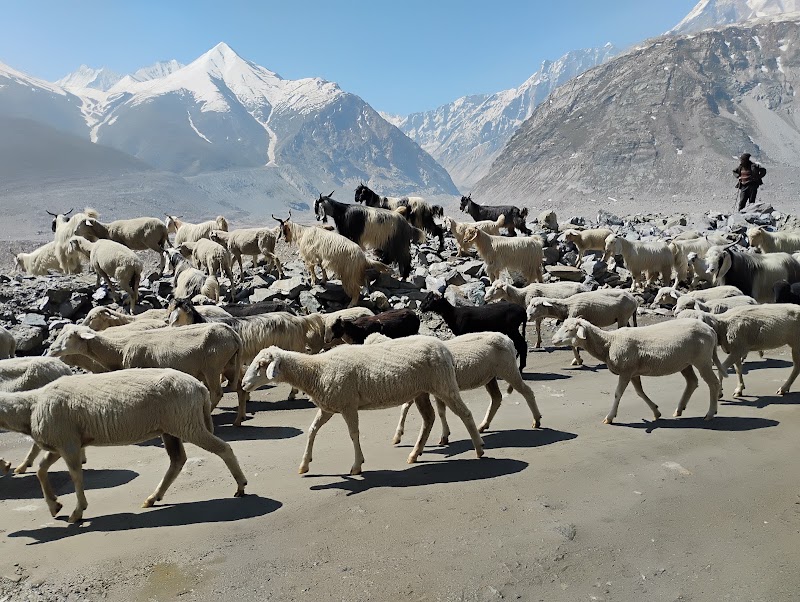 Manali Kaza route - Manali Kaza route, 8J53+JP, Batal, Himachal Pradesh 175140, India