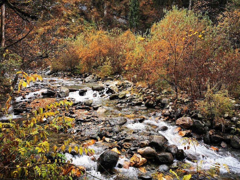 Grahan village.Himachal Pradesh - Grahan village.Himachal Pradesh, X89X+HJH, Grahan Grahan street, Sosan, Himachal Pradesh 175105, India