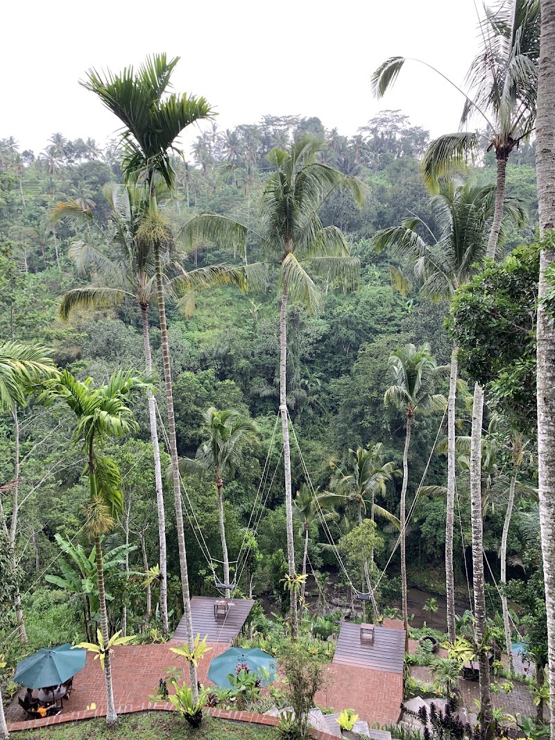 Jungle Swing Bali - Jungle Swing Bali, Buahan, Payangan, Gianyar Regency, Bali 80572, Indonesia
