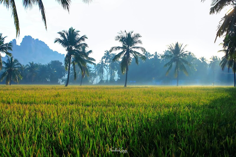 Sunset point - Hippie Island - Sunset point - Hippie Island 8FR6+WFM, Anjanhalli, Virupapuragaddi, Karnataka 583234, India