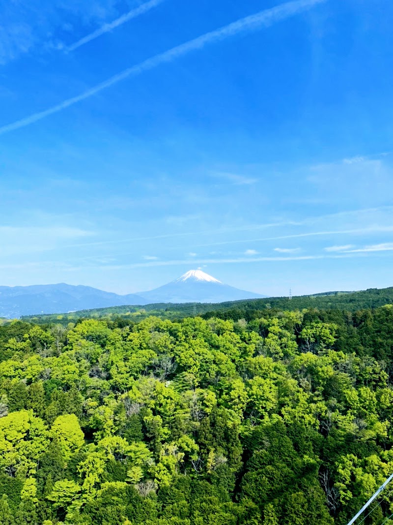 南展望エリア - 南展望エリア 313 Sasahara Shinden, Mishima, Shizuoka 411-0012, Japan