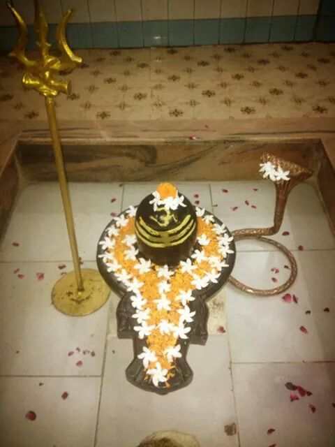 Nag Nageshwar Mandir - Nag Nageshwar Mandir, 1668, Shashtri Nagar, Nagpur, Maharashtra 440008, India