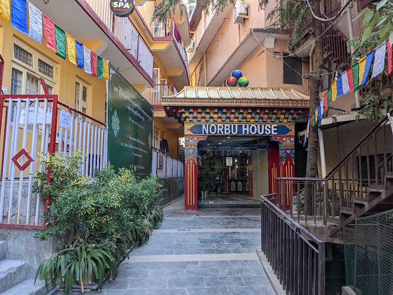 Hotel Norbu House - Hotel Norbu House Club House Road, 68MG+PHR, Thardhol Ling Rd, McLeod Ganj, Dharamshala, Himachal Pradesh 176215, India