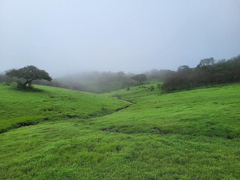 Bhimashankar Forest Reserve - Bhimashankar Forest Reserve, 3G8J+6RQ, Bhimashankar, Maharashtra 410509, India