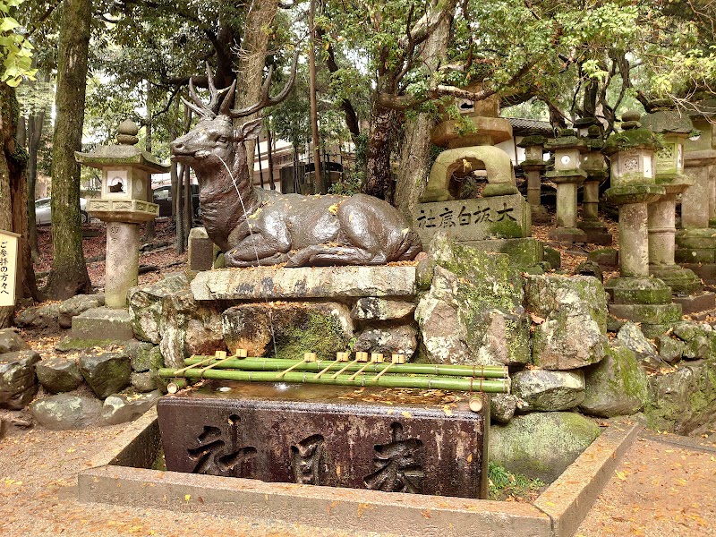 Kasugataisha Shrine - Kasugataisha Shrine 160 Kasuganochō, Nara, 630-8212, Japan