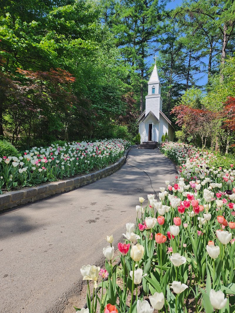 Garden of Morning Calm - Garden of Morning Calm, 432 Sumogwon-ro, Sang-myeon, Gapyeong-gun, Gyeonggi-do, South Korea