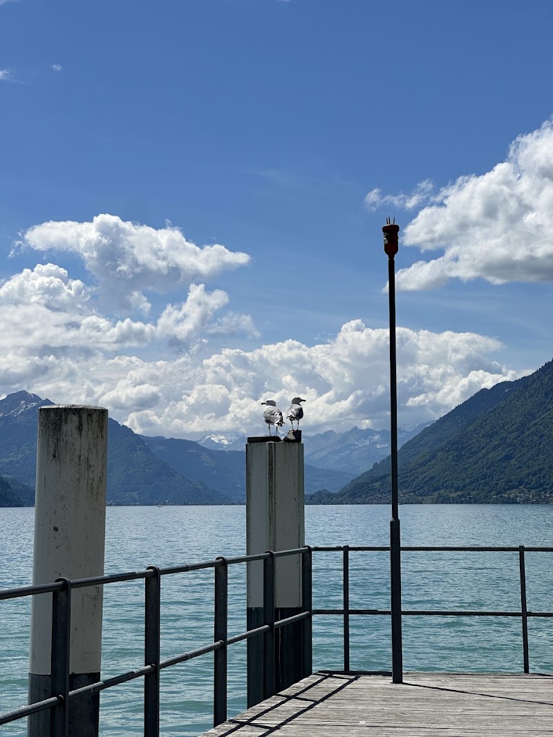 BLS AG boat cruise, shipping station - BLS AG boat cruise, shipping station Quai 1, 3855 Brienz, Switzerland