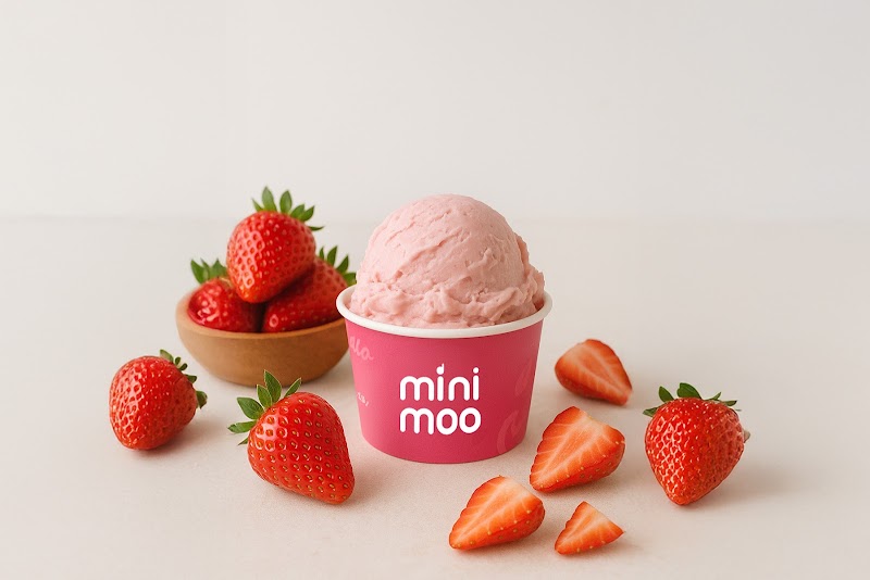 Mini Moo - Italian Artisanal Gelato Ice Cream - Mini Moo - Italian Artisanal Gelato Ice Cream 7, 7th B Rd, Sardarpura, Jodhpur, Rajasthan 342001, India