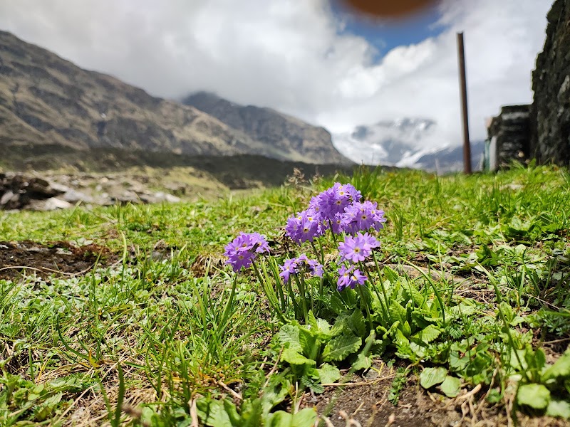 Danu Adventure - Danu Adventure, danuadventure, Toli, Uttarakhand 263632, India