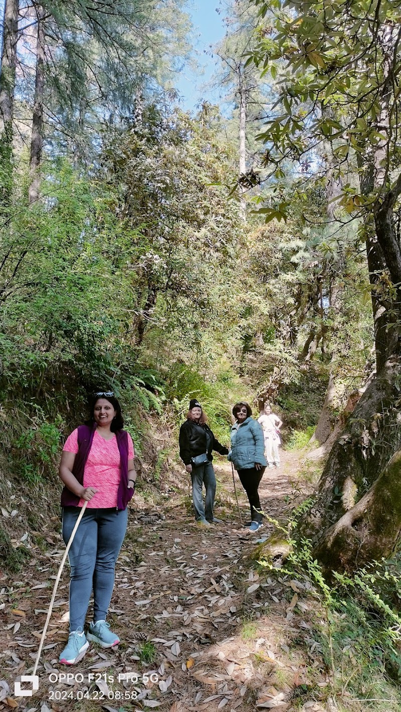 Nature Home Stay - Nature Home Stay Nature Home Stay Astha Home, beside Mashobra, Vill Jagoti, Mashobra, Himachal Pradesh 171007, India
