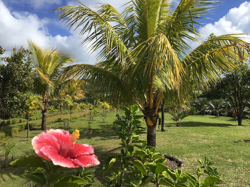 Chamarel - Chamarel, Mauritius