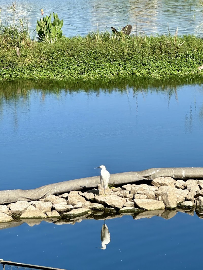 Puttenahalli Lake - Puttenahalli Lake Arekere MICO Layout Main Rd, Puttenahalli, JP Nagar 7th Phase, near MLR Convention Hall, Silver Oak Layout, JP Nagar 7th Phase, J. P. Nagar, Bengaluru, Karnataka 560078, India