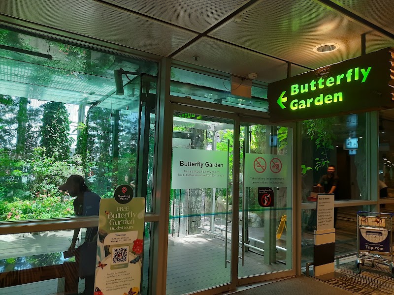 Butterfly Garden - Butterfly Garden 70 Airport Blvd., Singapore 819661