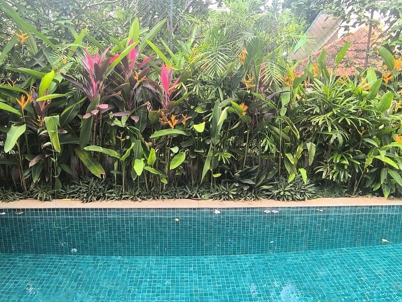 La Zorita by The Blue Kite - La Zorita by The Blue Kite Sy. No. 279/4, Bardez, Anjuna, Goa 403509, India