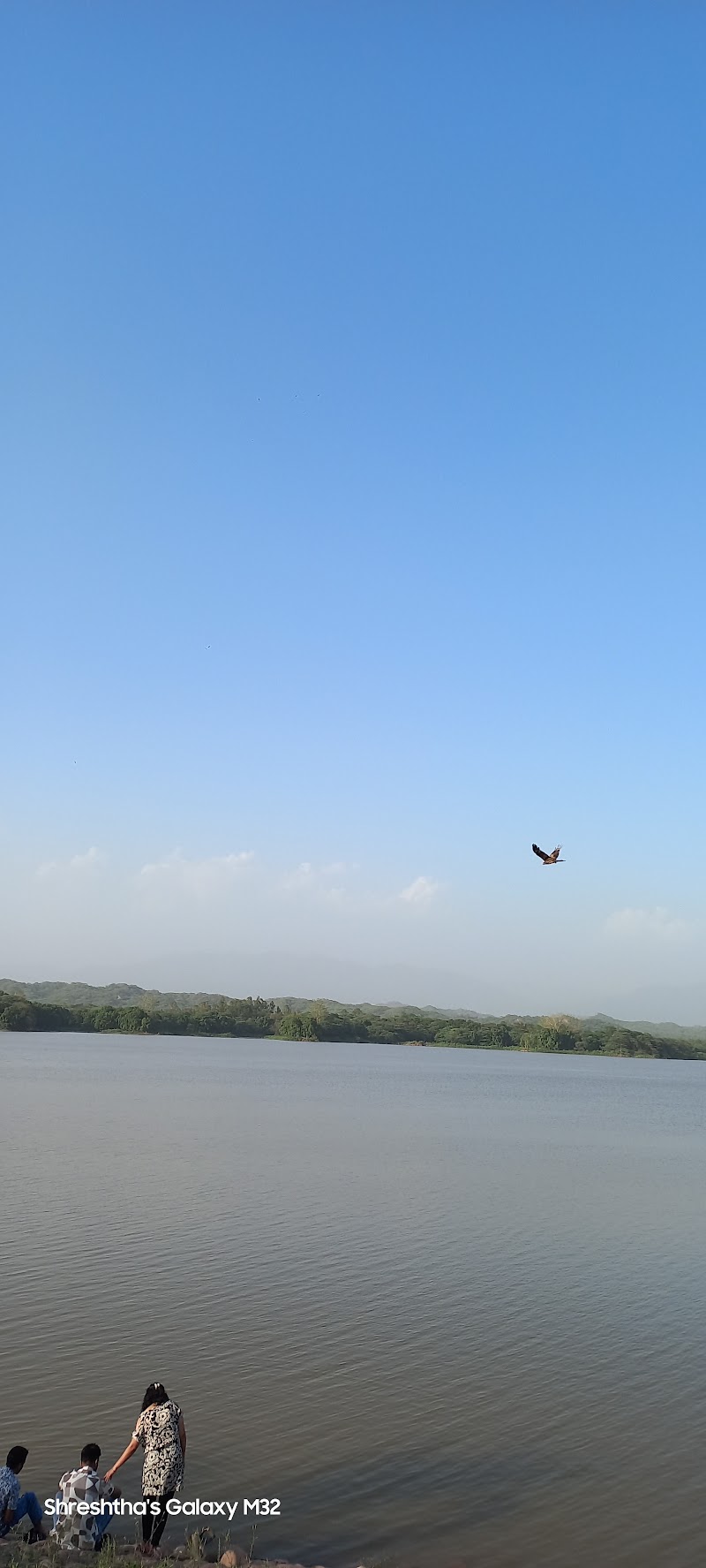 Bird watching area - Bird watching area 6084, Modern Housing Complex, Sector 13, Chandigarh, 160001, India