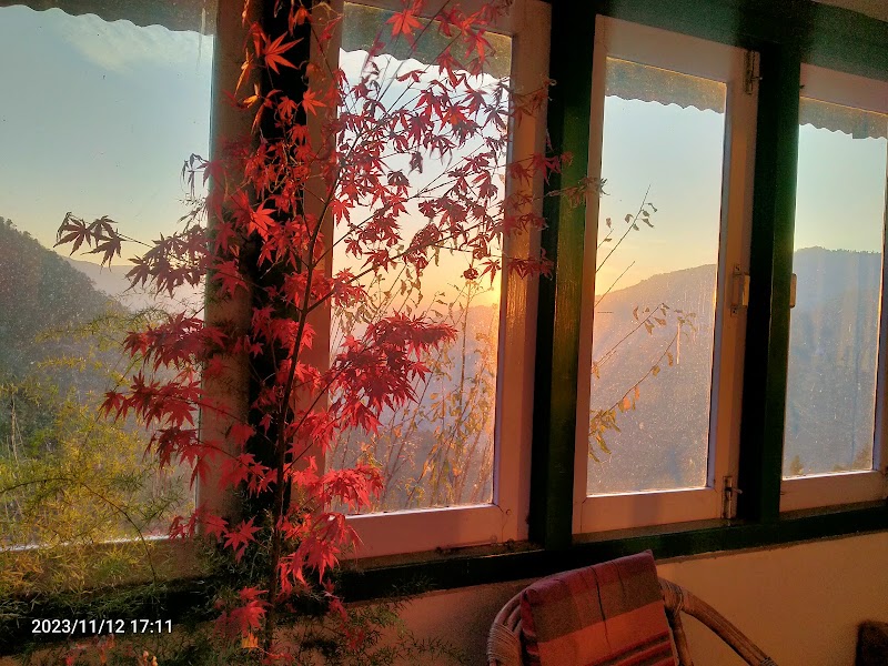 Himalayan Orchard - Himalayan Orchard Reoghati Rd, Rukhla, Himachal Pradesh 171204, India