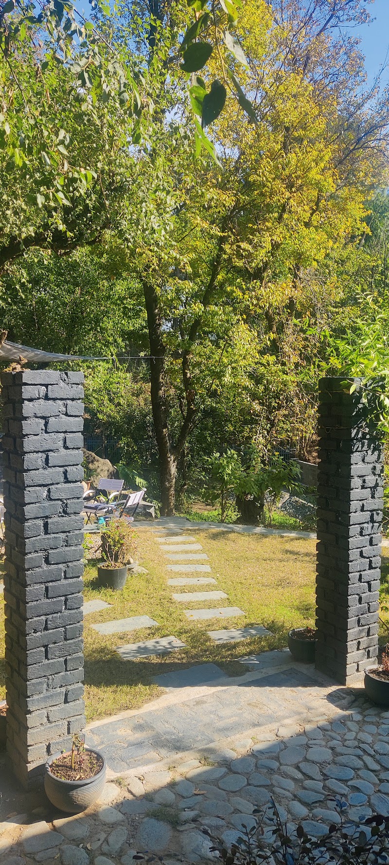 The owls nest - The owls nest 59G7+JJM, Unnamed Road, Tapovan, Braih, Rasan, Himachal Pradesh 176215, India